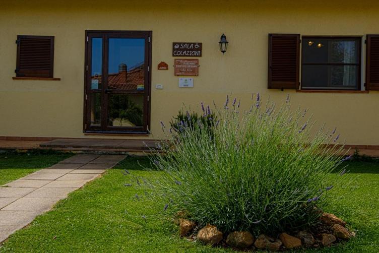 Agriturismo La Fata Grosseto Dış mekan fotoğraf