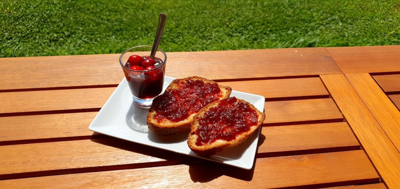 Agriturismo La Fata Grosseto Dış mekan fotoğraf