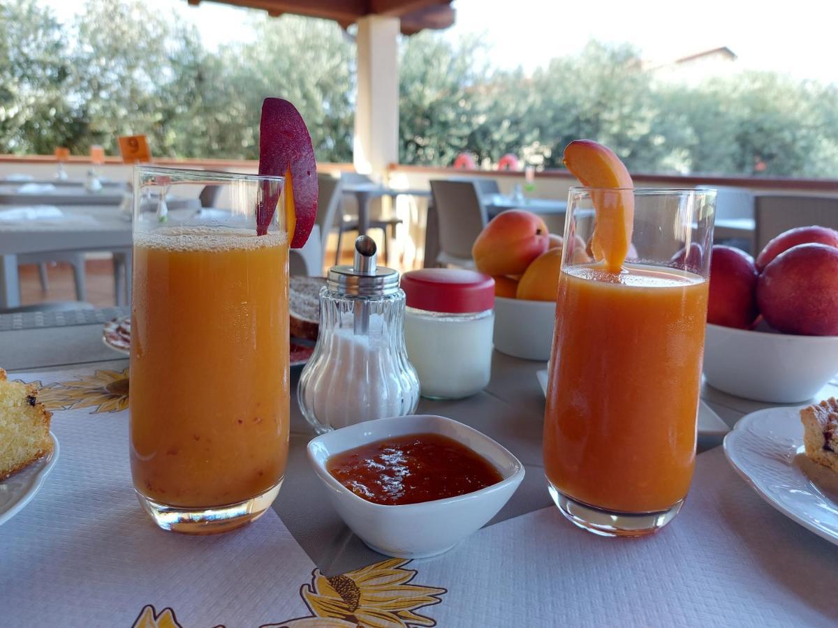 Agriturismo La Fata Grosseto Dış mekan fotoğraf